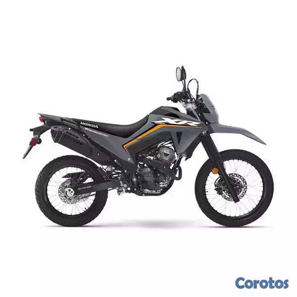 motores y pasolas - HONDA XR-300L 2