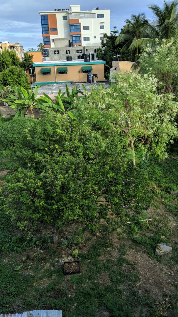 solares y terrenos - Solar para proyecto residencial Tropical del Este 3