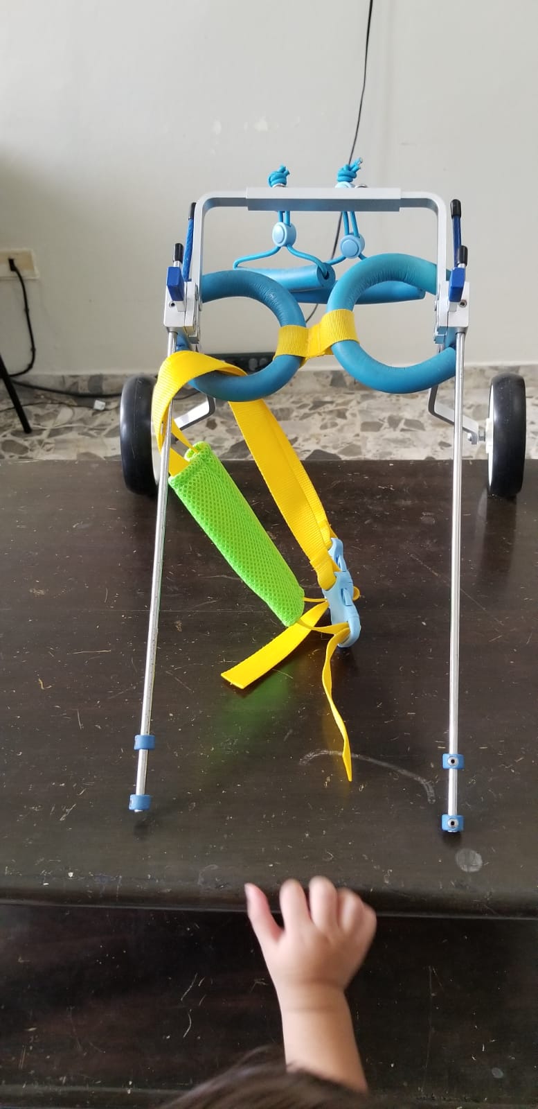 animales y mascotas - Silla de ruedas-carro para mascotas con paralisis  4