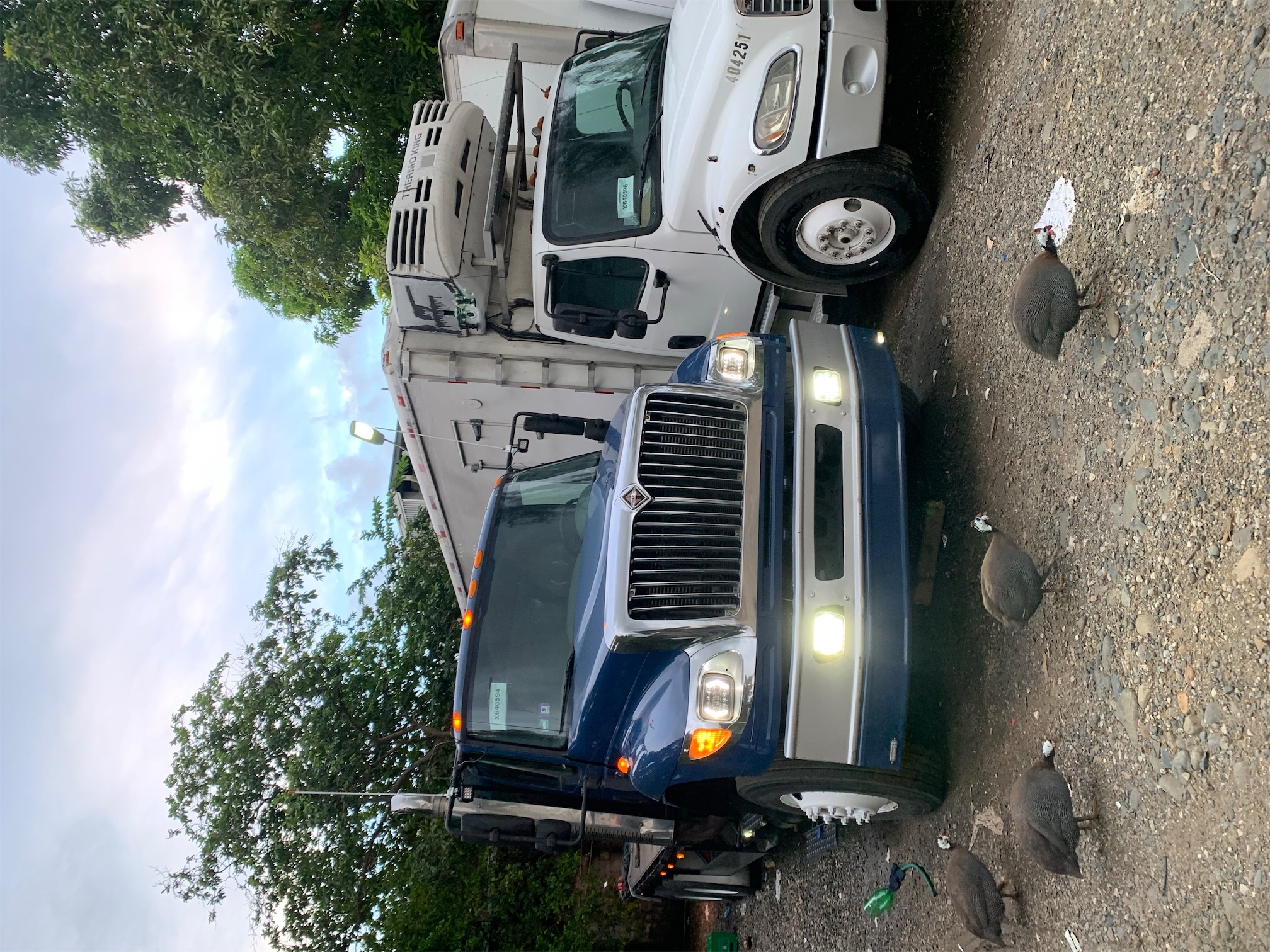 camiones y vehiculos pesados - International 7600