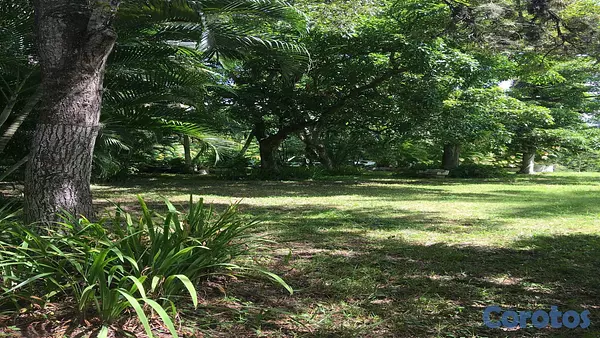 solares y terrenos - Venta Finca Km25 Autopista Duarte 5