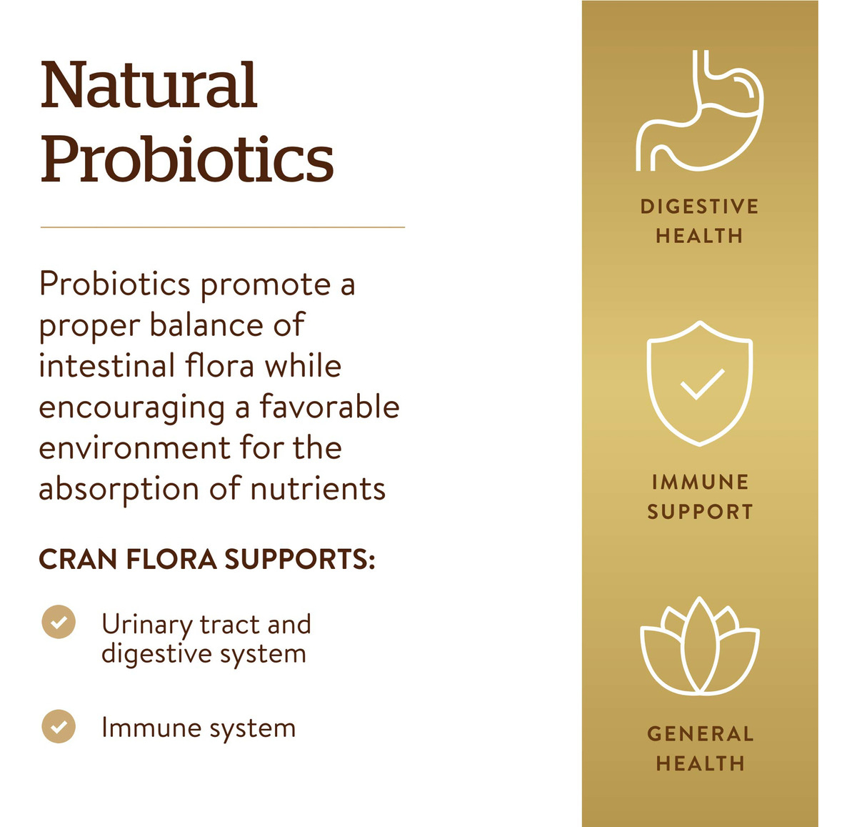 Salud y Equipamiento Médico - Solgar Cran Flora Con Probioticos Plus Ester-c 60 Capsulas 3
