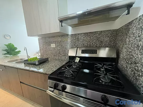 apartamentos - Apartamento en Alquiler en Naco Amueblado de UNA H 15