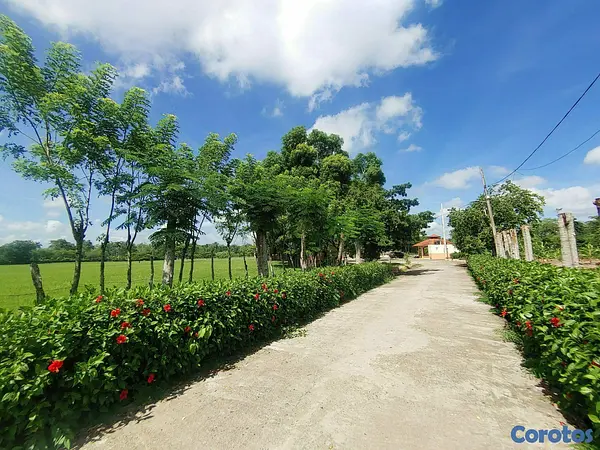 solares y terrenos - Terreno comercial en venta en San Francisco de Macorís Macoris 3