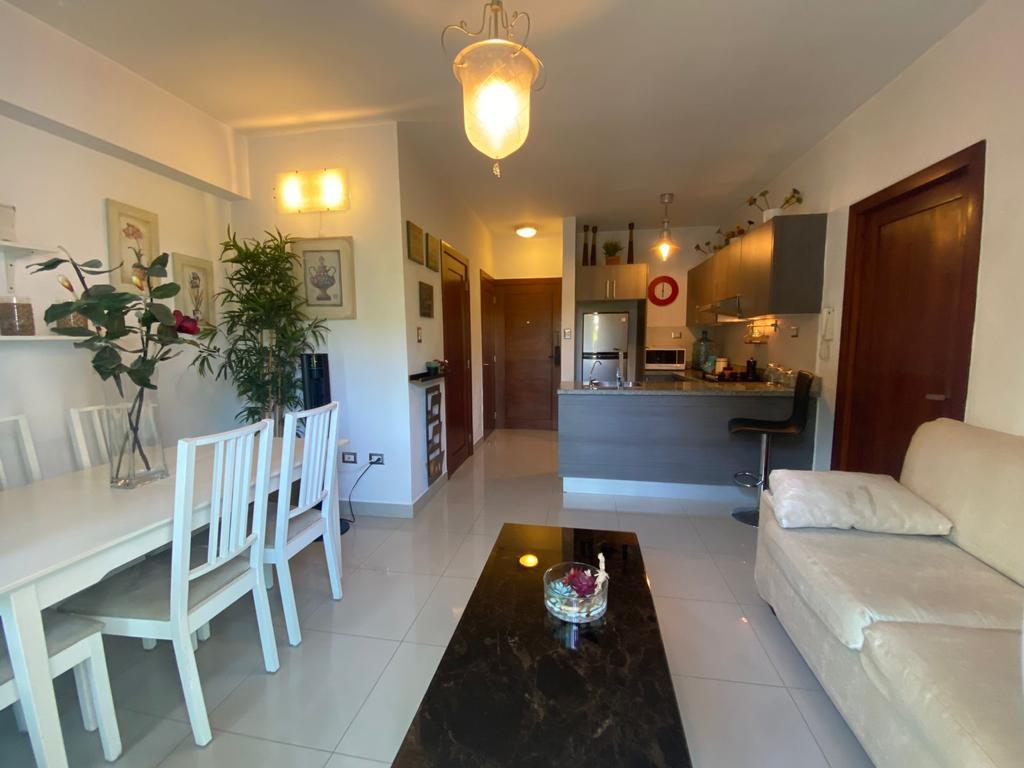 apartamentos - APARTAMENTO AMUEBLADO EN ALQUILER, GAZCUE. 1