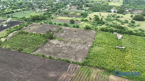 solares y terrenos - Terreno en Venta de Oportunidad, en Palmar Santiag 4