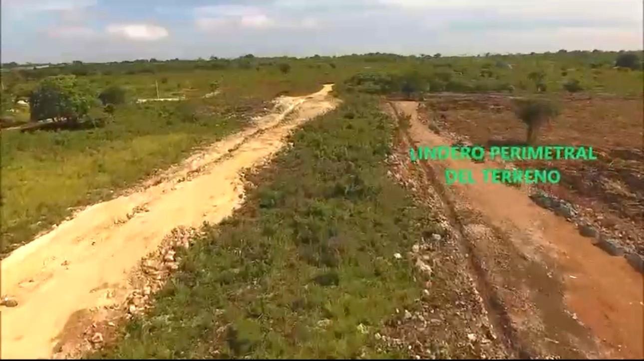 solares y terrenos - VENTA SOLAR DE 7,542M2 EN LA CALETA-BOCA CHICA 2