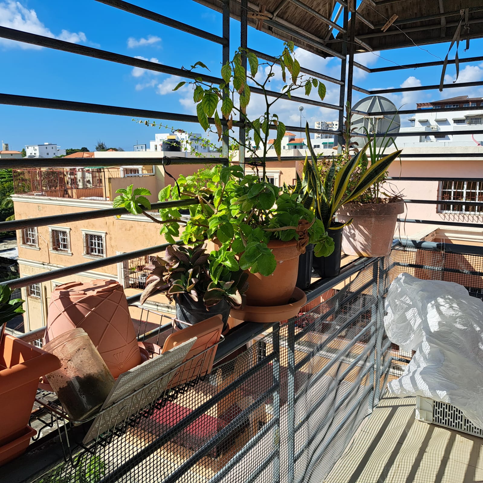 apartamentos - Apartamento Clásico en Venta en Alma Rosa I 7