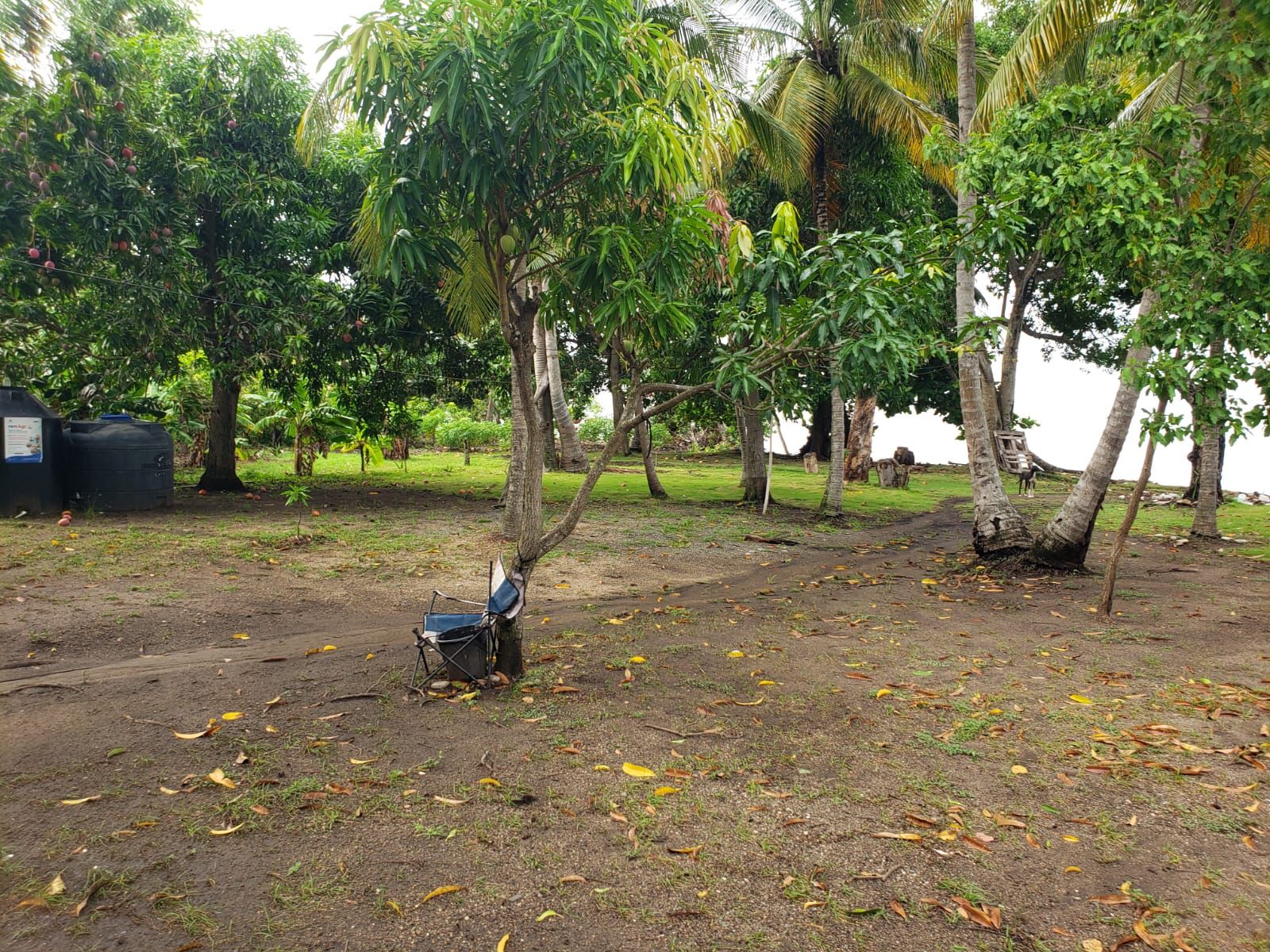 solares y terrenos - ¡Oportunidad única en Paya, Baní! Terreno de 2,515 1