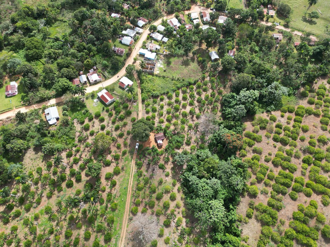 solares y terrenos - Vendo finca en Bayaguana, con título y sembrada 1