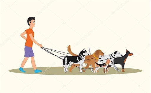 animales y mascotas - Paseador canino 🐶