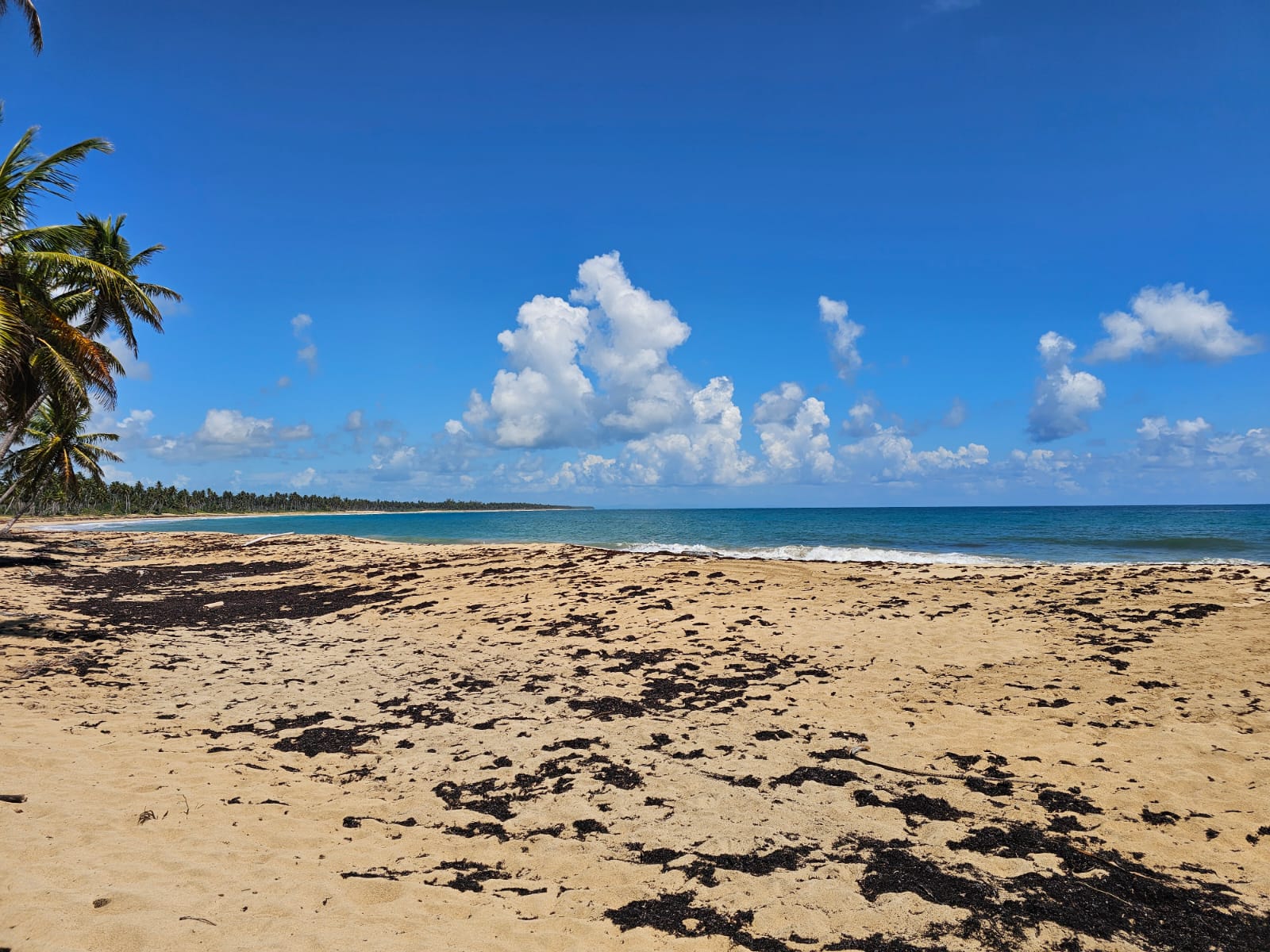 solares y terrenos - VENDO EN PLAYA EL LIMÓN EN MICHES HERMOSOS TERRENOS A PIE DE PLAYA  3