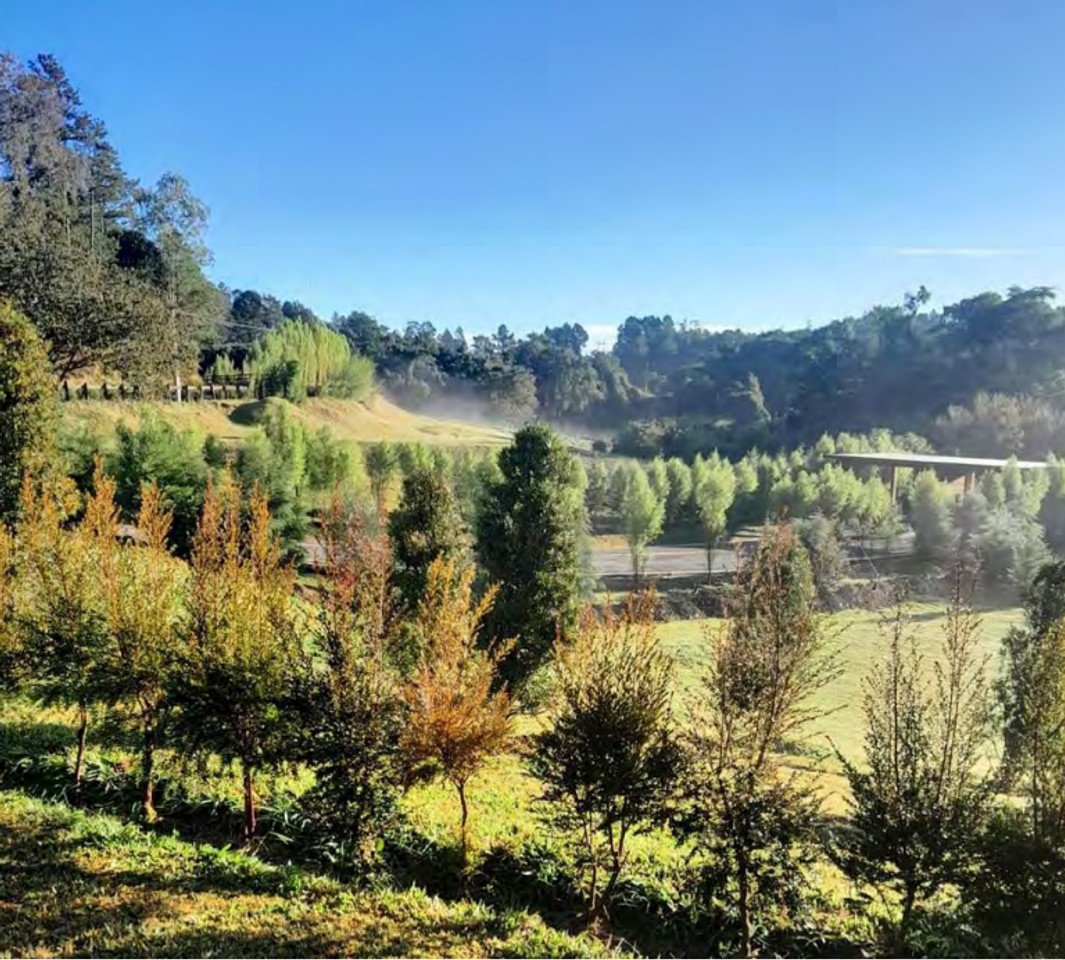 solares y terrenos - Solar en venta en las montañas Constanza 5