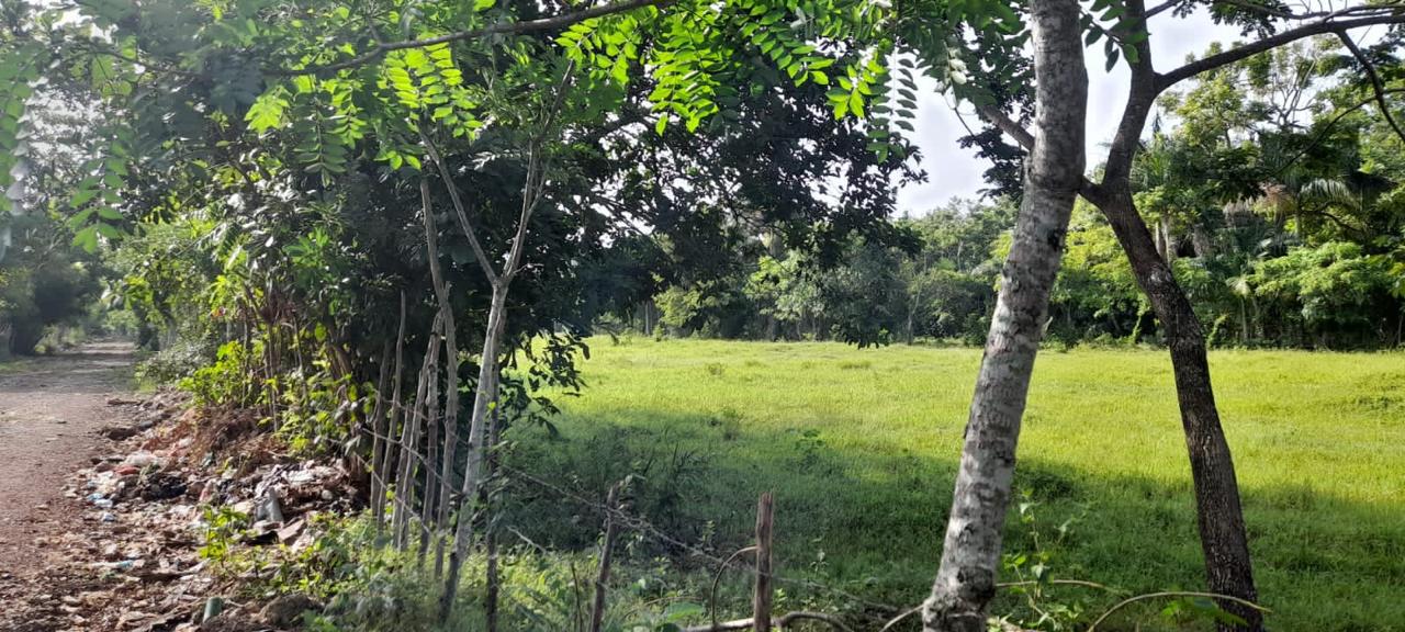 solares y terrenos - Vendo terrenos en Carretera la Isabela 2