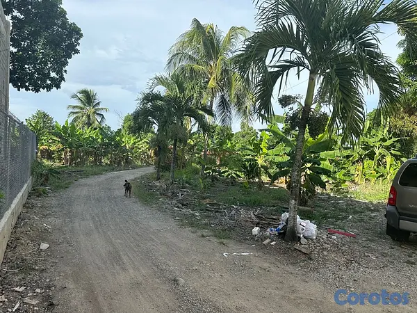 solares y terrenos - Venta de finca con edificación comercial / residencial 4