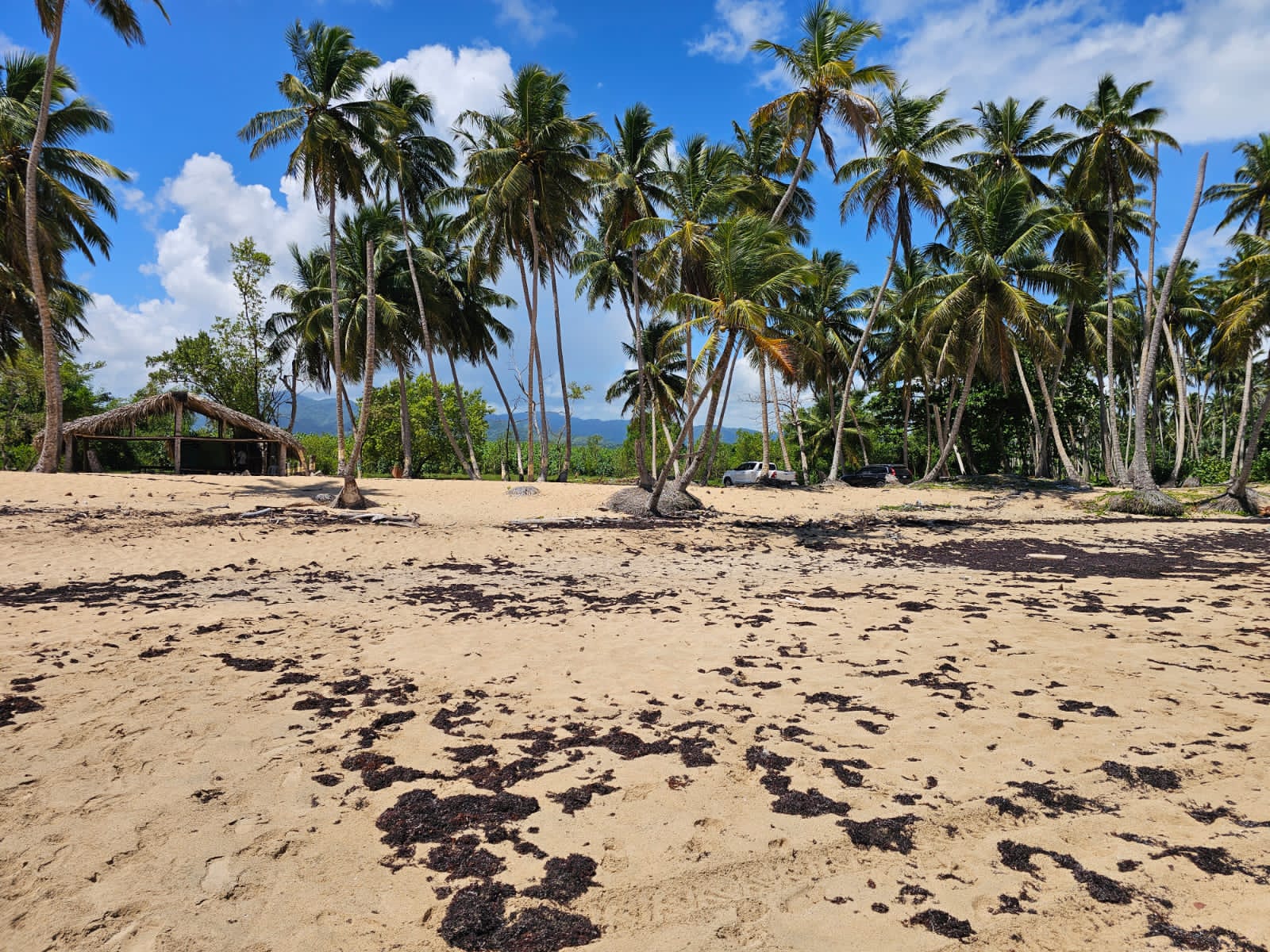 solares y terrenos - VENDO EN PLAYA EL LIMÓN EN MICHES HERMOSOS TERRENOS A PIE DE PLAYA  1