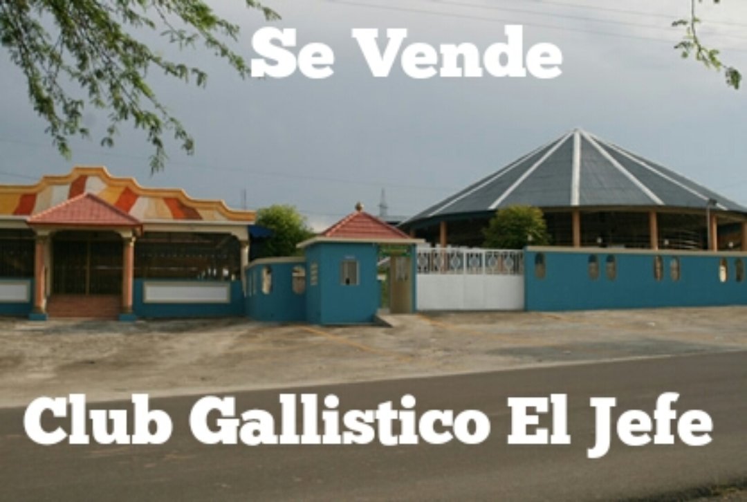 otros inmuebles - Club Gallistico El Jefe ( Discoteca y Parqueo en frente )