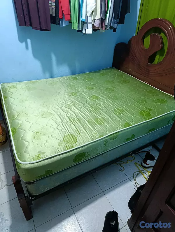 muebles y colchones - cama de 42  2