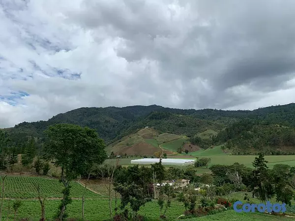 solares y terrenos - Solar Constanza uso varios desde 980 mts  3
