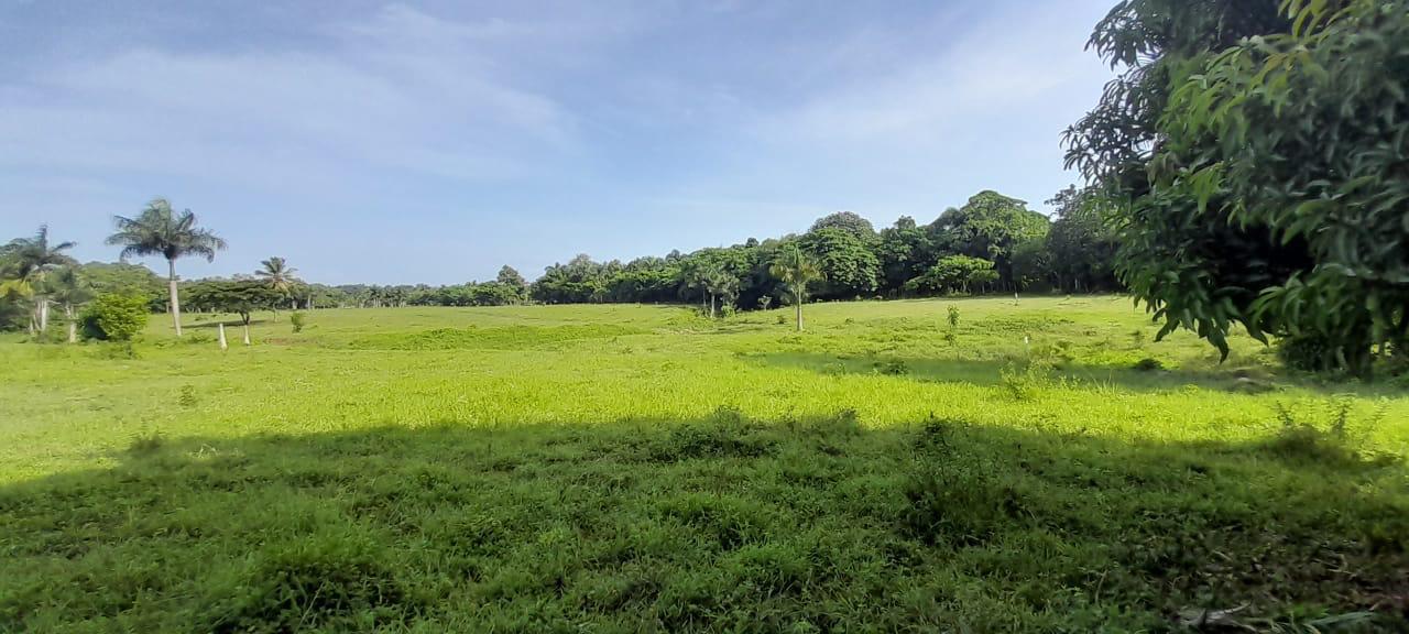 solares y terrenos - Vendo terrenos en Carretera la Isabela 3