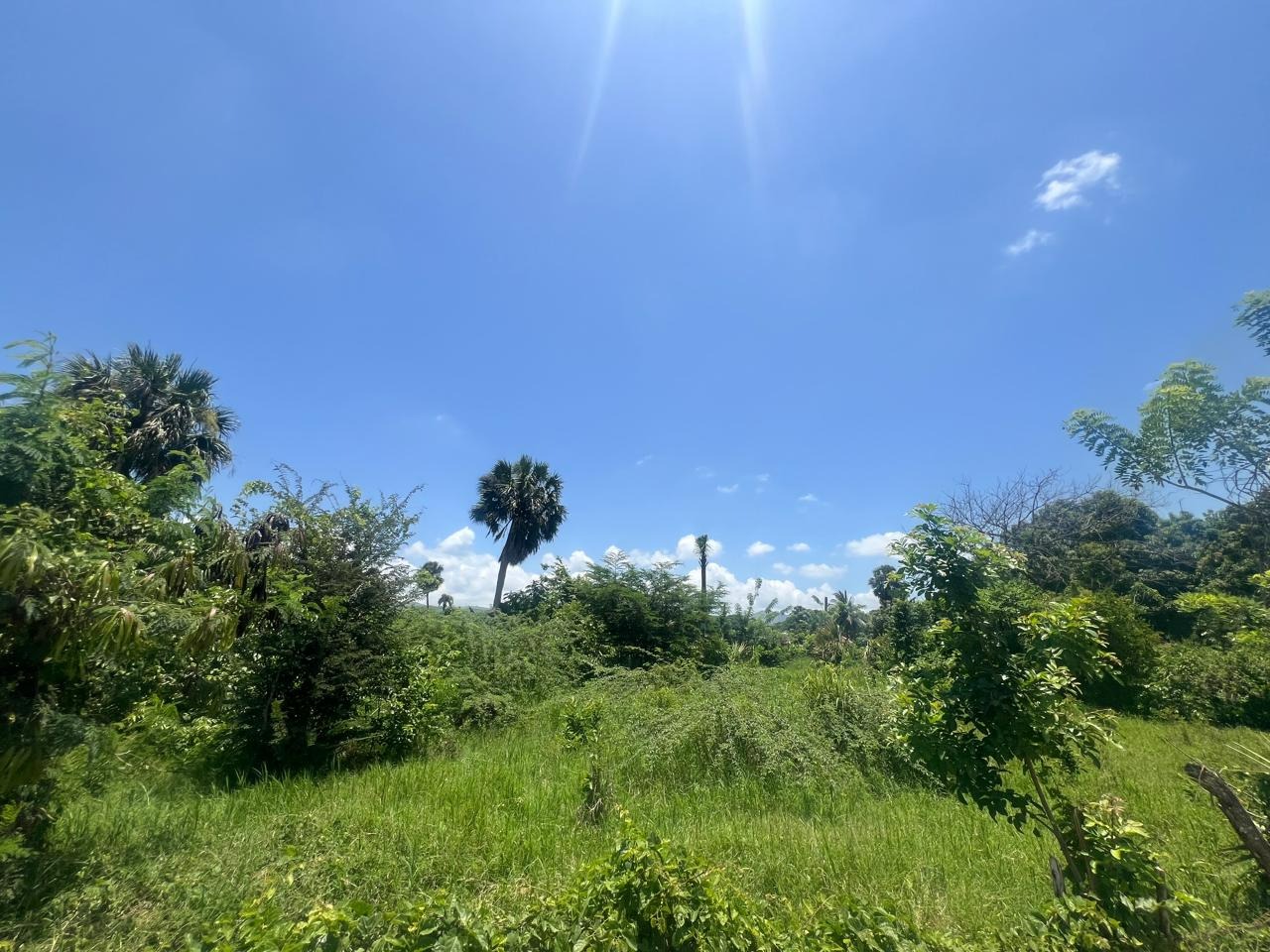 solares y terrenos - Terreno de Venta en  Villa Verde, Santiago 2