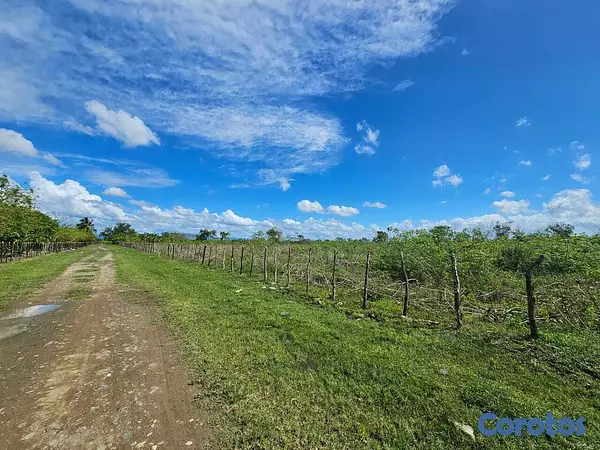 solares y terrenos - Finquita en San Francisco de Macoris de 66 tareas  3