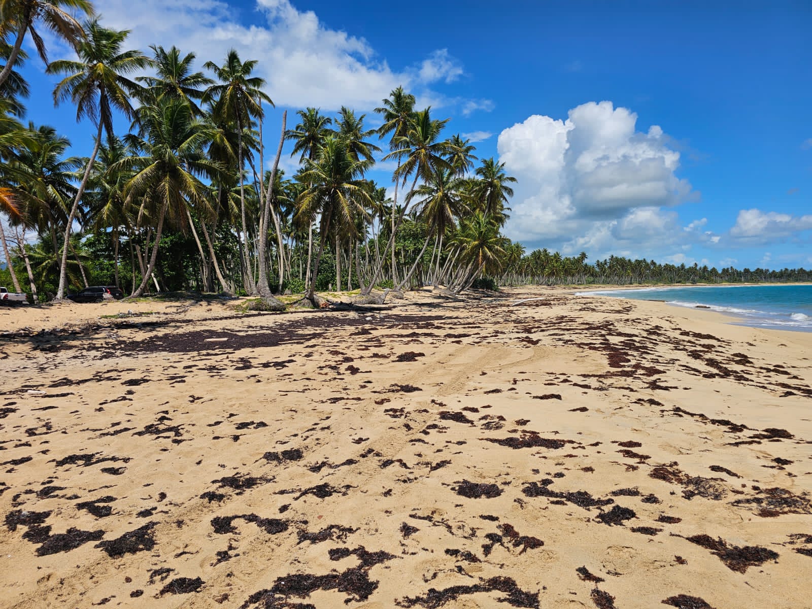 solares y terrenos - VENDO EN PLAYA EL LIMÓN EN MICHES HERMOSOS TERRENOS A PIE DE PLAYA  2