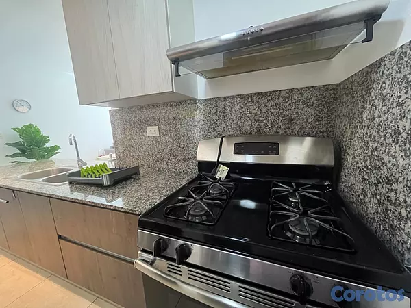 apartamentos - Apartamento en Alquiler en Ensanche Naco de UNA Ha 11