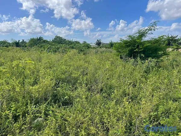 solares y terrenos - Terreno en venta Manoguayabo 6