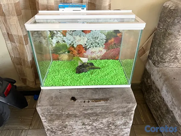negocios en venta - Pecera de 13 galones  2