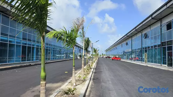 oficinas y locales comerciales - Naves y locales comerciales en alquiler 6
