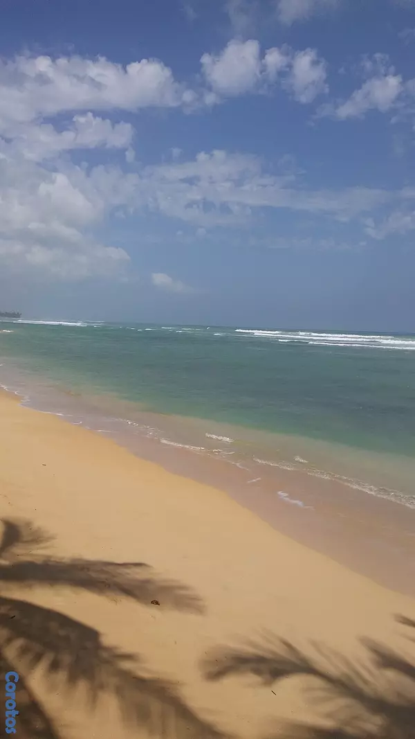solares y terrenos - Gran Solar en Uvero Alto Punta Cana con Playa  2