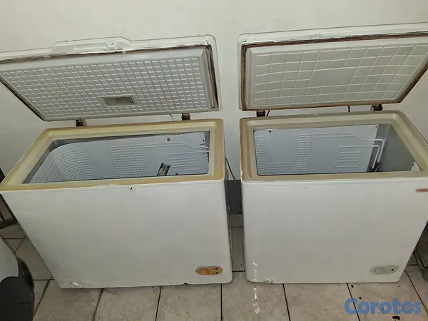 equipos profesionales - Venta de dos Freezer  4