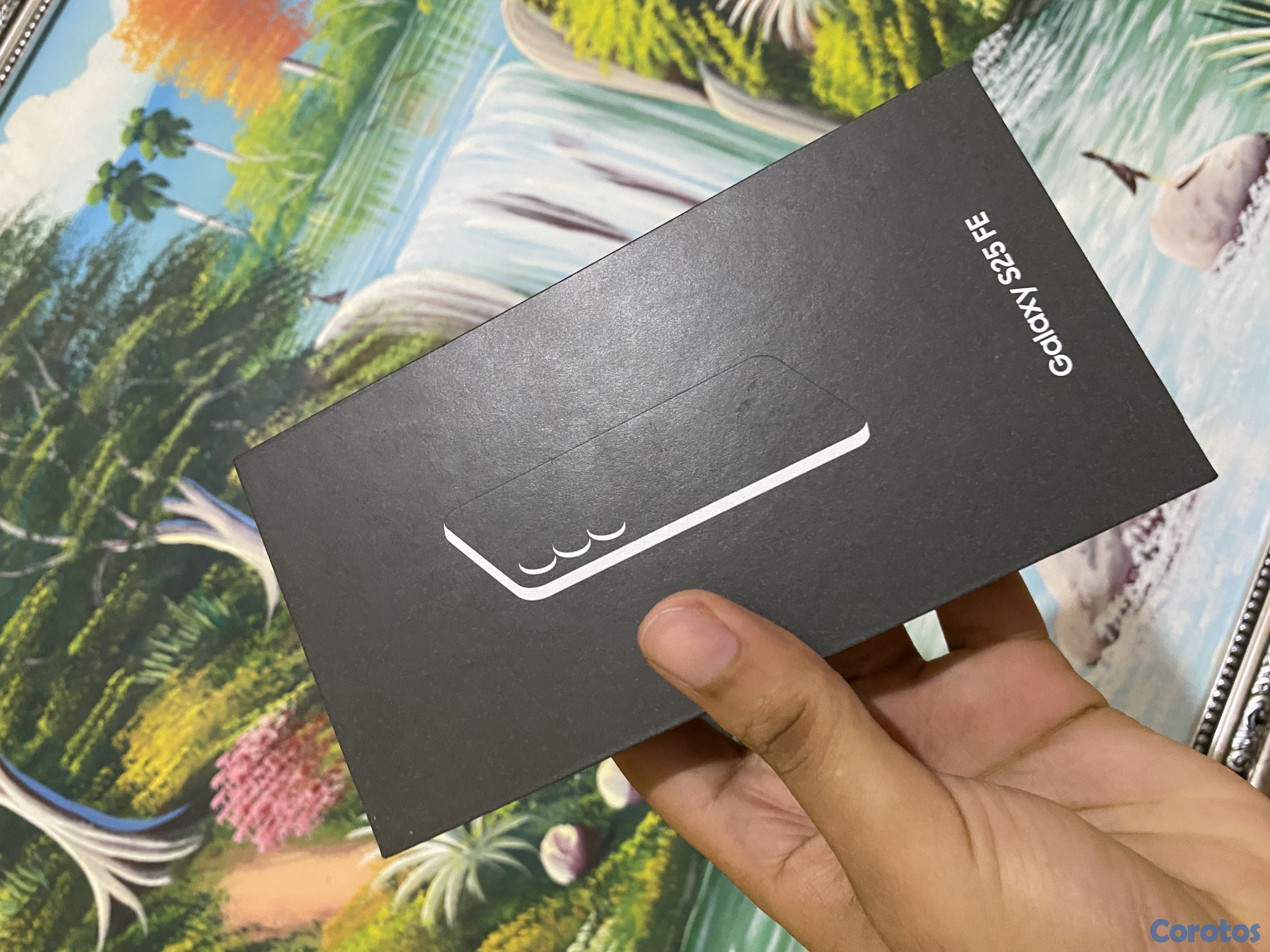 celulares y tabletas - Samsung s25 FE 256 GB  2