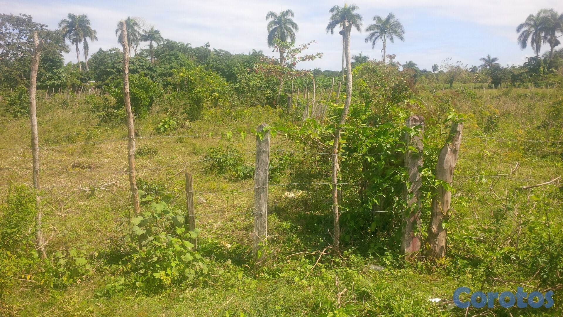 solares y terrenos - Solar deslindado de 970 Metros cuadrado tiene 40X23 más o menos.  2