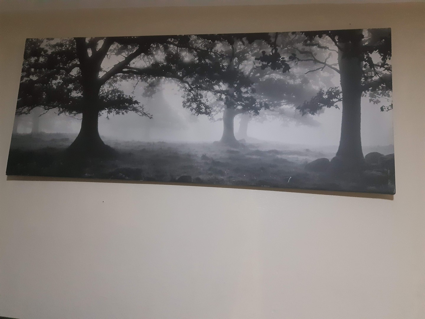 decoración y accesorios - Cuadro Ikea Bosque Blanco y Negro