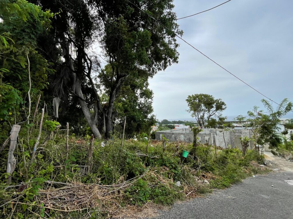 solares y terrenos - TERRENO EN TORRE ALTA, PUERTO PLATA 5
