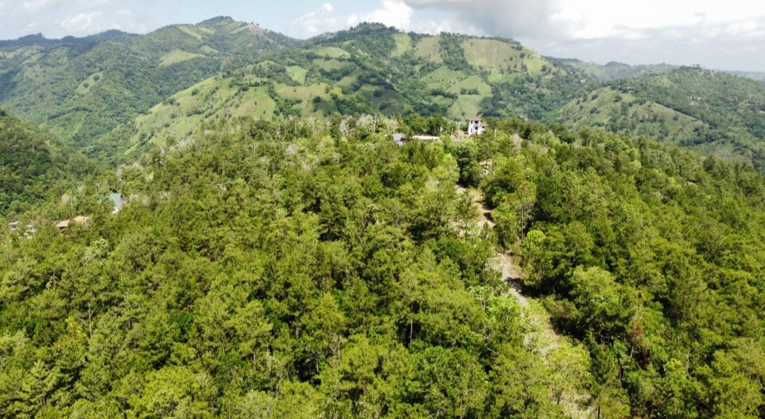 solares y terrenos - Terreno Buena Vista, Jarabacoa. 