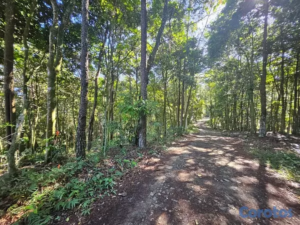 solares y terrenos - Proyecto residencial de Solares en Jarabacoa  6