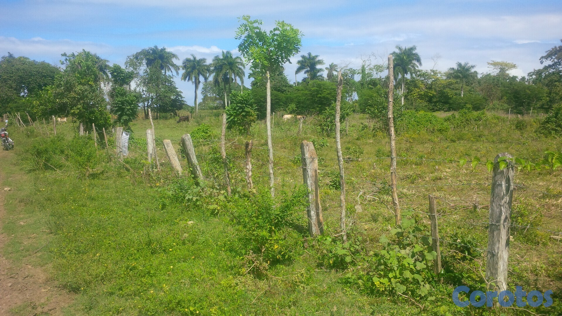solares y terrenos - Solar deslindado de 970 Metros cuadrado tiene 40X23 más o menos.  3