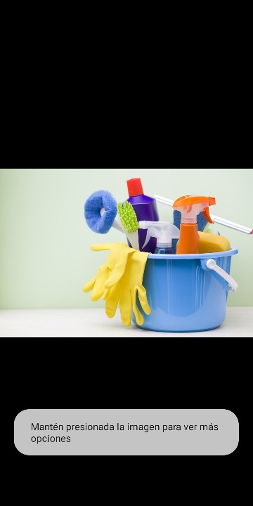 servicios profesionales - Ofresco mis servicios aciendo limpiezas profundas por día o fijo