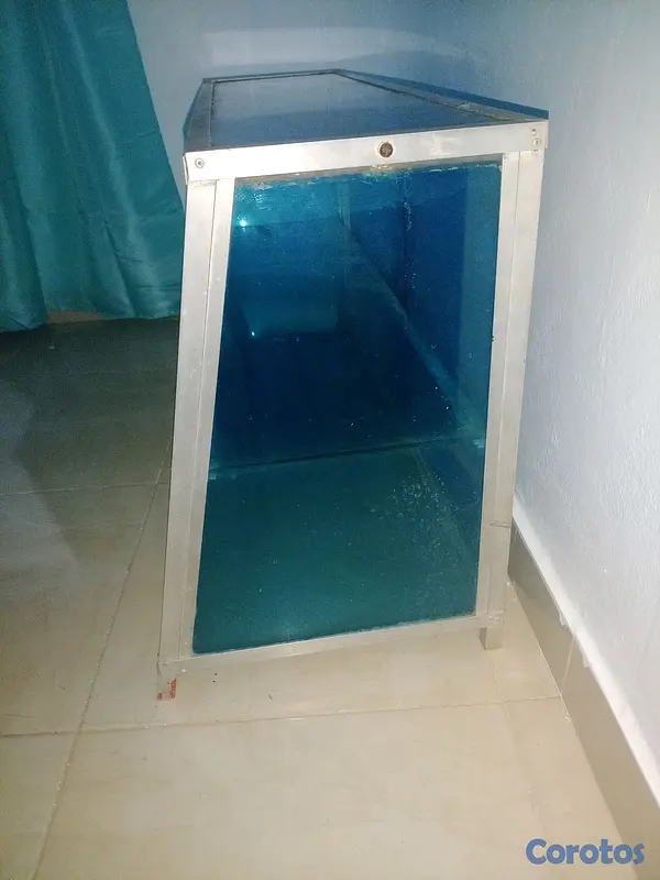 equipos profesionales - vitrina de 2 nivele 2