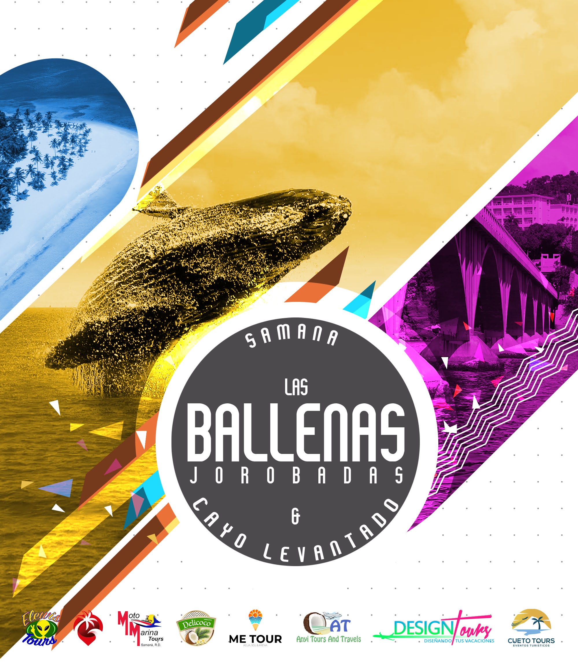 Tour Ballenas Jorobadas & Cayo Levantado en Samana