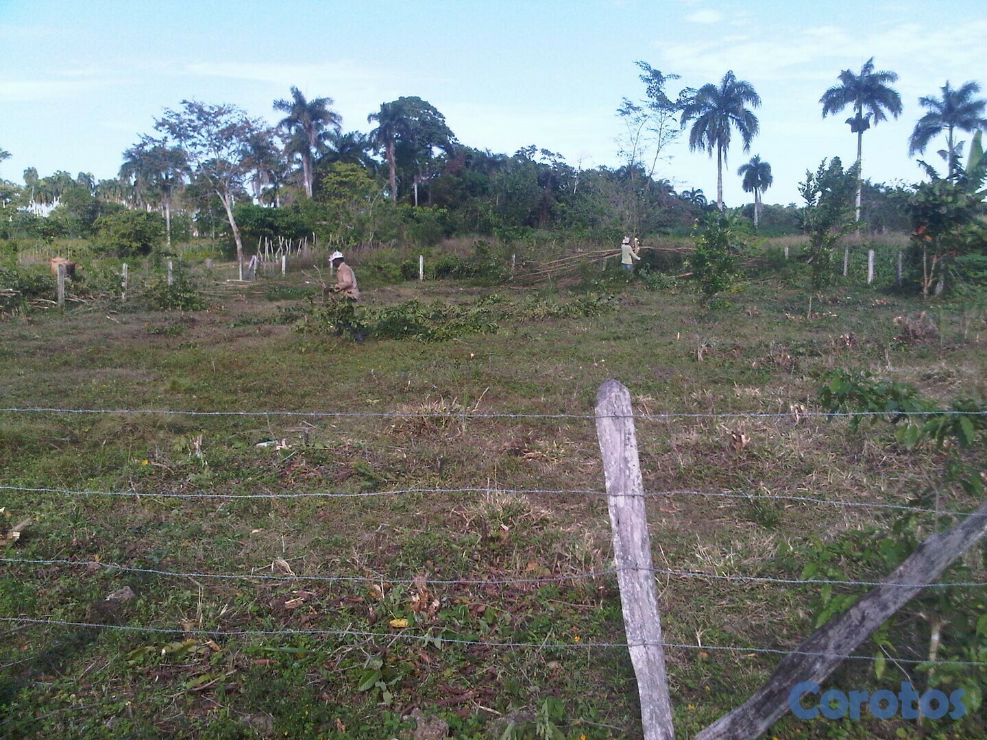 solares y terrenos - Solar deslindado de 970 Metros cuadrado tiene 40X23 más o menos.  4
