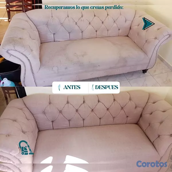 servicios profesionales - Servicio profesional de limpieza de mobiliarios. 2