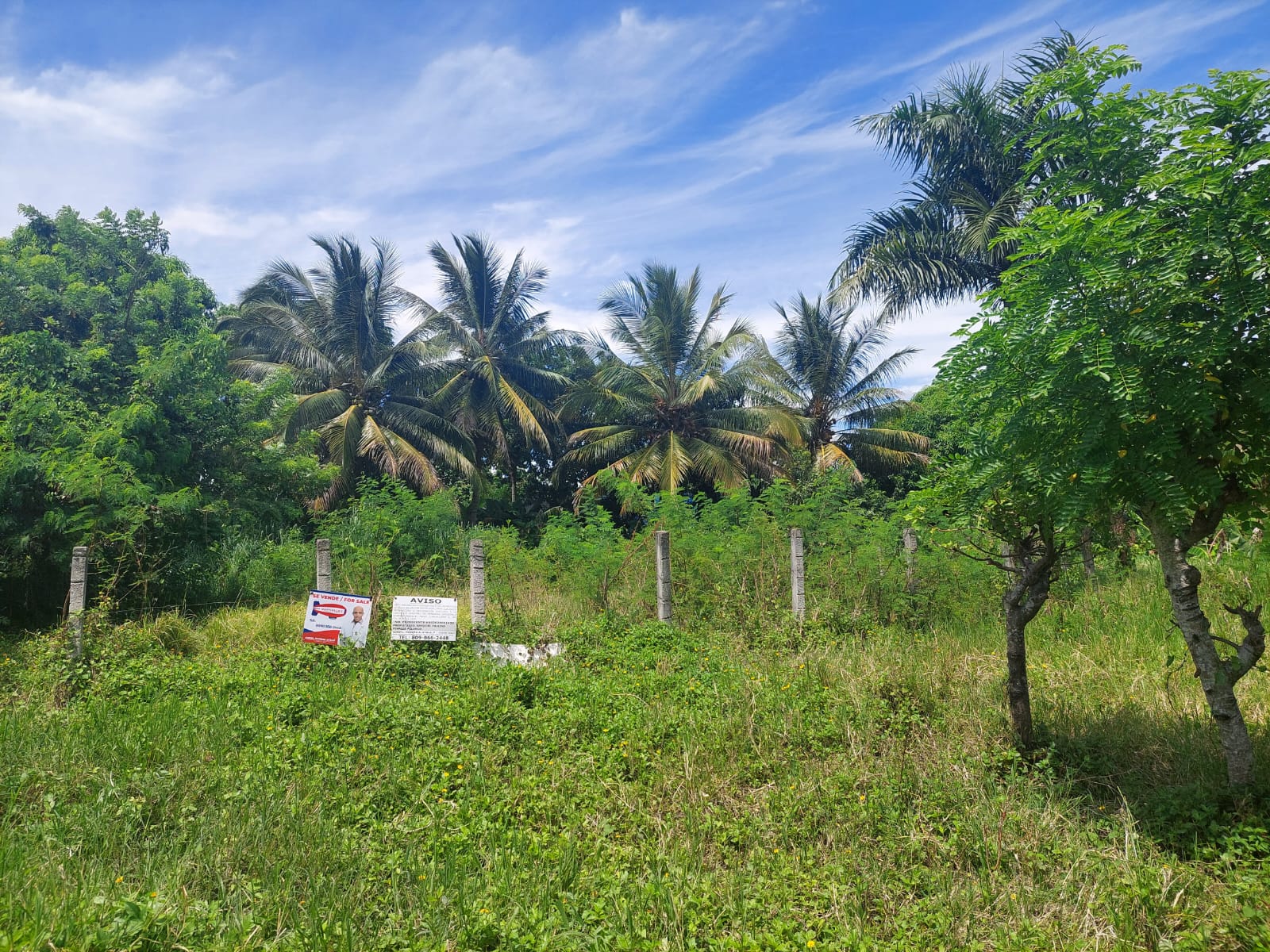 solares y terrenos - Solar en Venta, residencial Paraiso De Dios