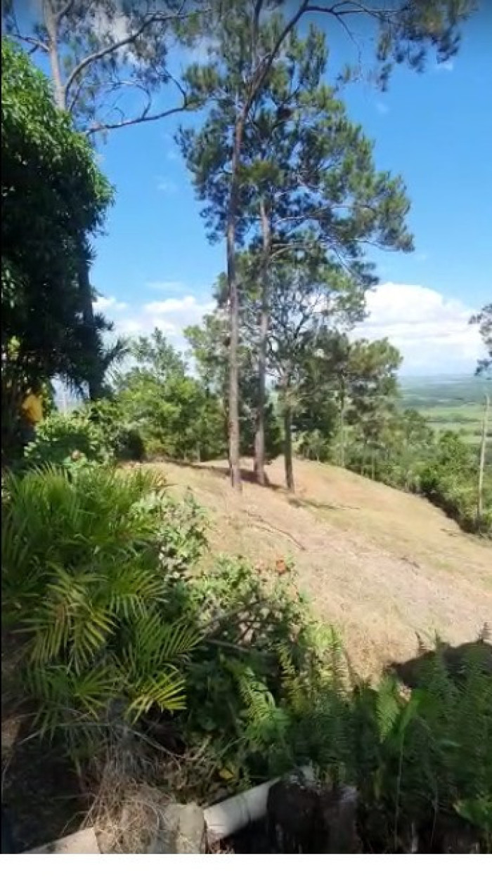 solares y terrenos - 🌄 Finca en Venta en La Vega