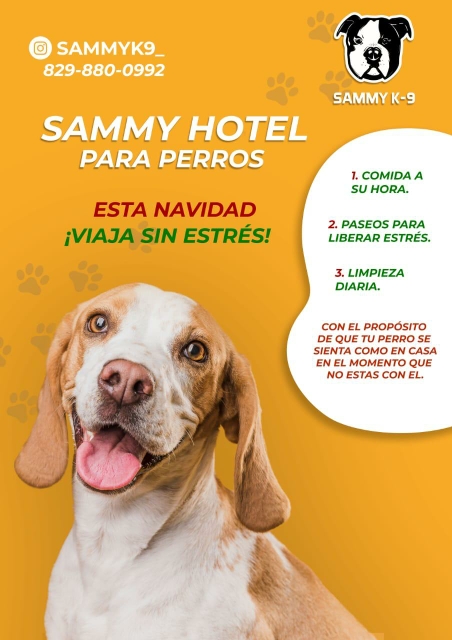 animales y mascotas - Hotel para perros