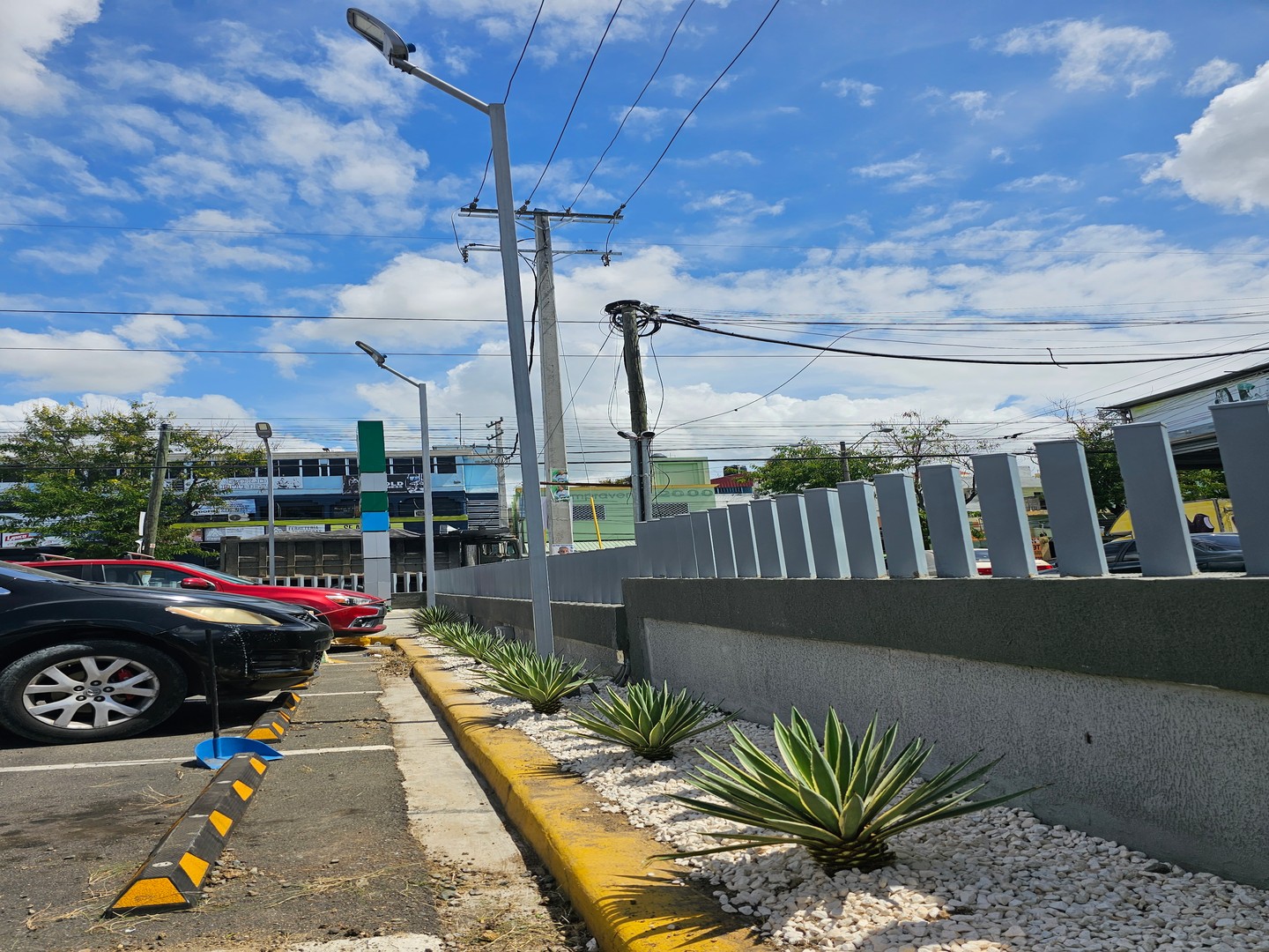 servicios profesionales - Servicios de jardineria 1