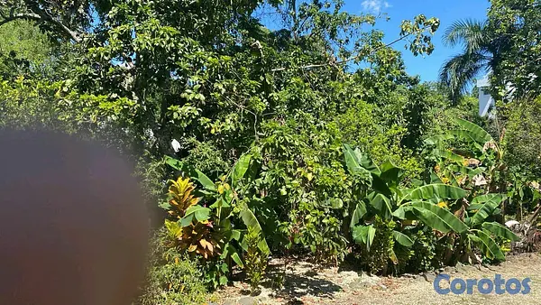 casas - venta de casa en Arroyo hondo detrás de la embajada Americana 3